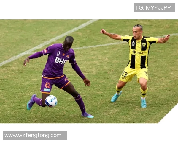 惠灵顿凤凰对阵中央海岸水手精彩直播全程回顾与分析 惠灵顿凤凰对阵中央海岸水手精彩直播全程回顾与分析