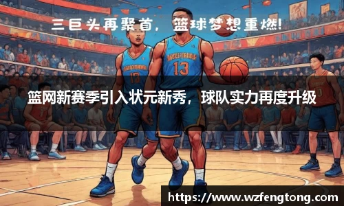 ng体育官网
