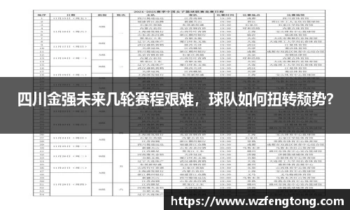 ng体育官网