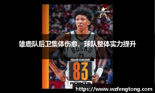 ng体育官网