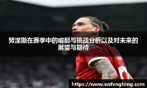 努涅斯在赛季中的崛起与挑战分析以及对未来的展望与期待