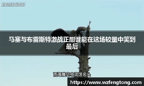 ng体育平台