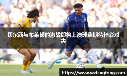 ng体育官方网站
