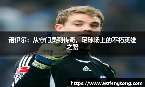 ng体育官网