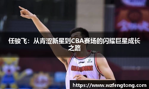 任骏飞：从青涩新星到CBA赛场的闪耀巨星成长之路