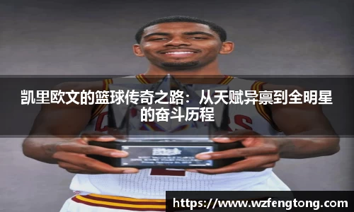 ng体育官方网站