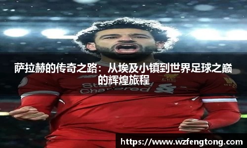 ng体育官方网站